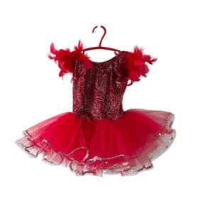 Red and Silver Ballet Costume Tulle Dress